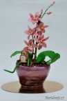 Orchidej na drátkách